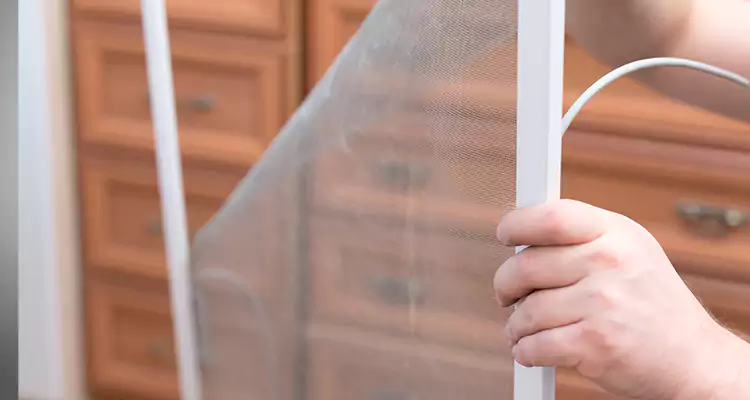 Privacy Mesh Screen Door Installation in Burlingame, CA