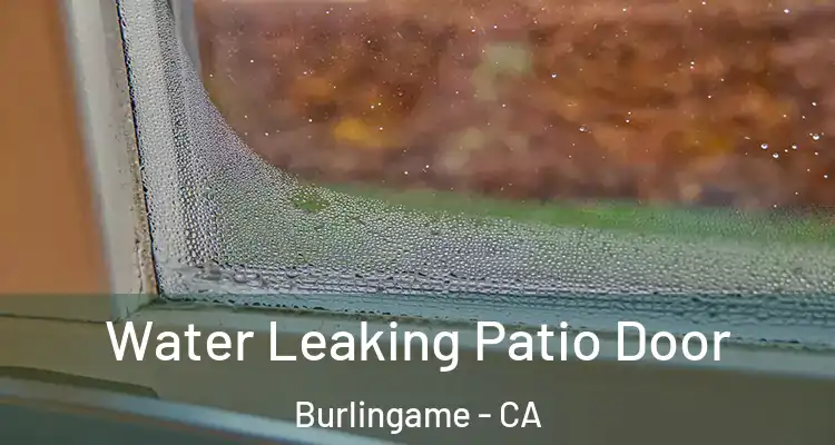  Water Leaking Patio Door Burlingame - CA